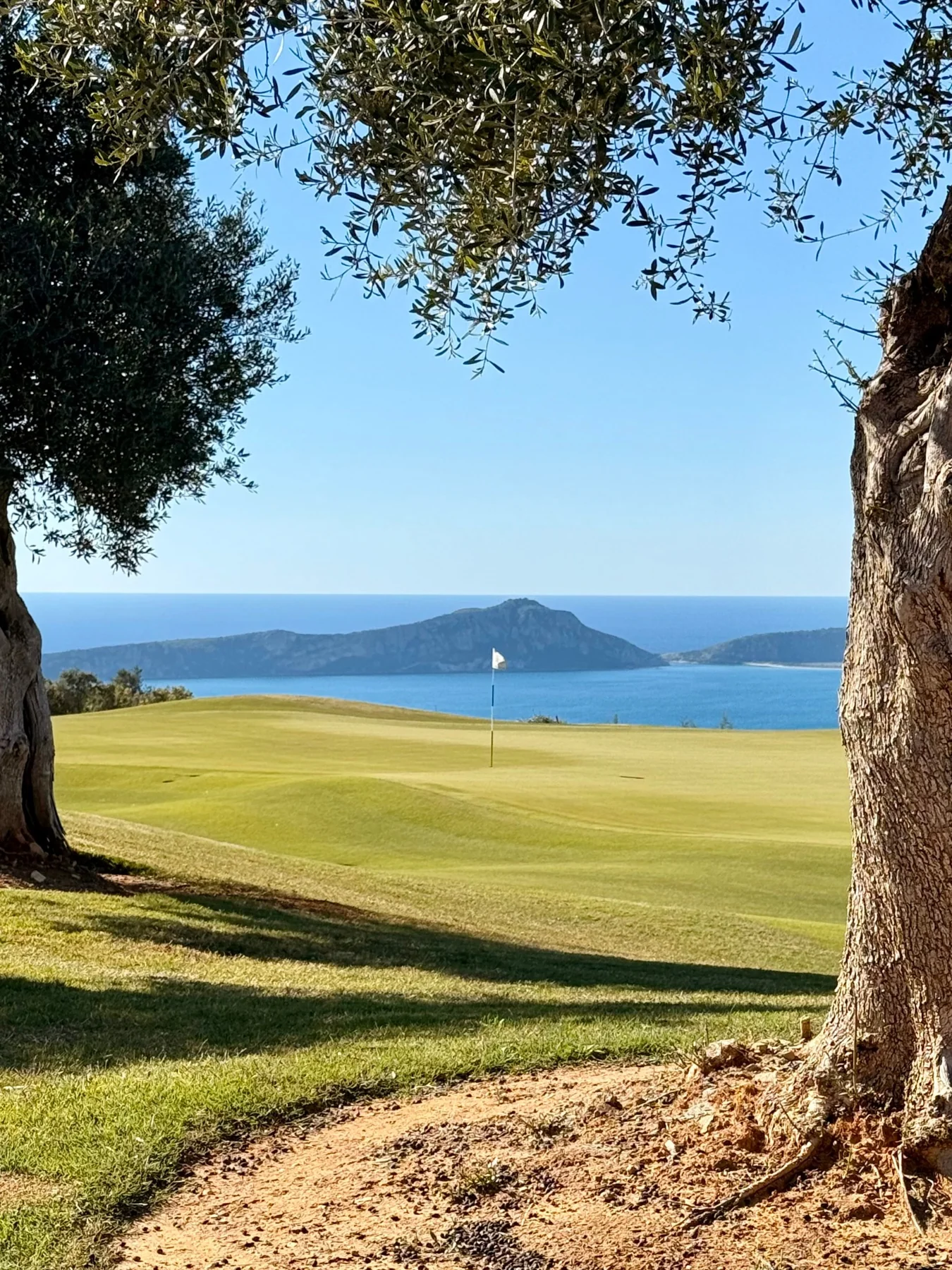 Golfgrün vor der Bucht